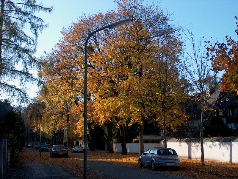 Nyphenburger Park 029 